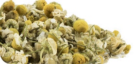 Chamomile ingredient in the Calming Blends Diverticulitis Tea