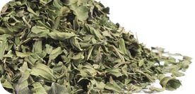 Peppermint Leaves ingredient in the Calming Blends Diverticulitis Tea
