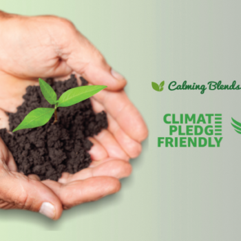 Calming Blends Diverticulitis Tea now labeled as Climate Pledge Friendly on Amazon.com