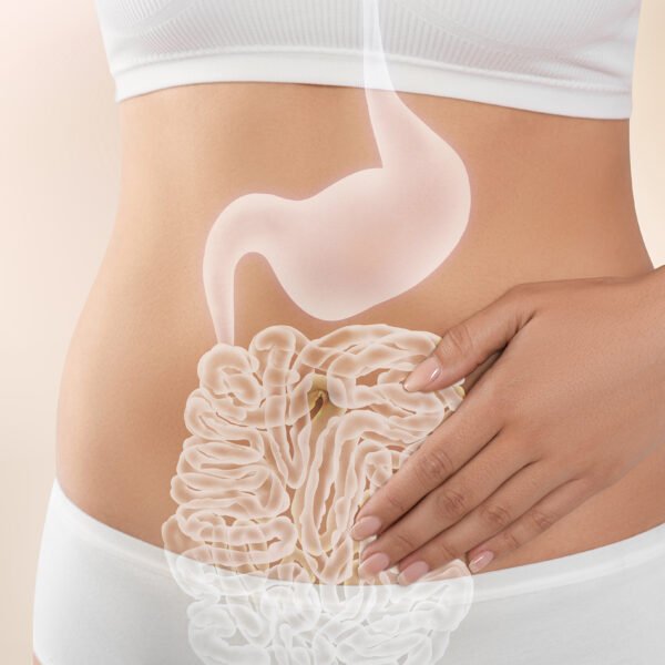 Preventing Diverticulitis Recurrence Tips for Long Term Gut Health